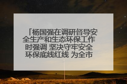 杨国强在调研督导安全生产和生态环保工作时强调 坚决守牢安全环保底线红线 为全市经济社会高质量发展提供坚强保障