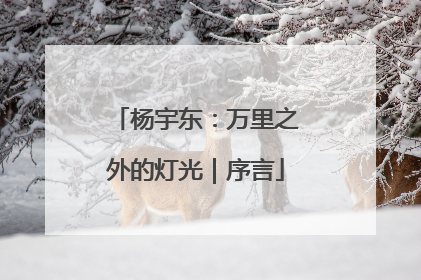 杨宇东：万里之外的灯光｜序言