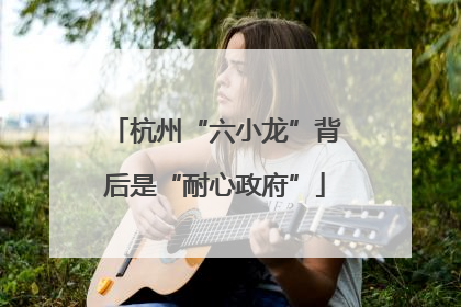 杭州“六小龙”背后是“耐心政府”