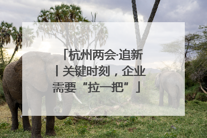 杭州两会·追新丨关键时刻，企业需要“拉一把”