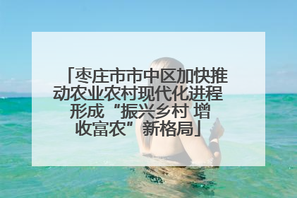 枣庄市市中区加快推动农业农村现代化进程 形成“振兴乡村 增收富农”新格局