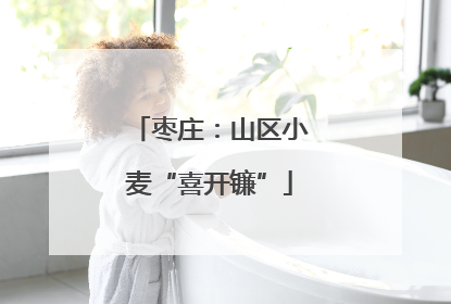 枣庄：山区小麦“喜开镰”