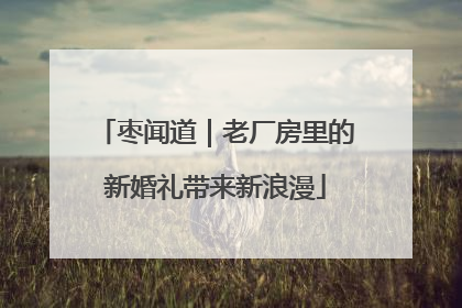 枣闻道｜老厂房里的新婚礼带来新浪漫