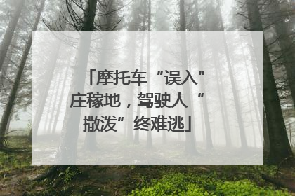 摩托车“误入”庄稼地，驾驶人“撒泼”终难逃