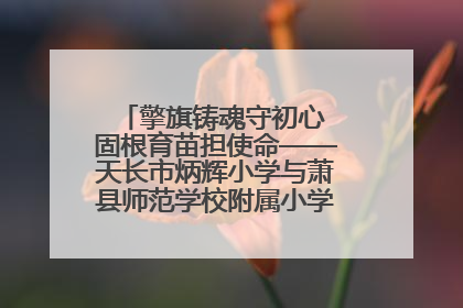 擎旗铸魂守初心 固根育苗担使命——天长市炳辉小学与萧县师范学校附属小学结对共建活动纪实