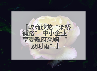 政商沙龙“架桥铺路” 中小企业享受政府采购 “及时雨”