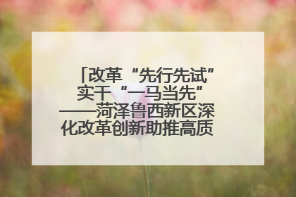 改革“先行先试” 实干“一马当先”——菏泽鲁西新区深化改革创新助推高质量发展纪实