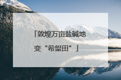 敦煌万亩盐碱地变“希望田”