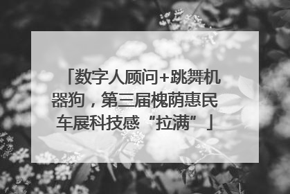 数字人顾问+跳舞机器狗，第三届槐荫惠民车展科技感“拉满”