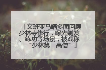 文班亚马晒多图回顾少林寺修行，曝光剃发、练功等场景，被戏称“少林第一高僧”