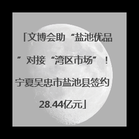 文博会助“盐池优品”对接“湾区市场”！宁夏吴忠市盐池县签约28.44亿元