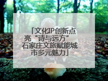 文化IP创新点亮“诗与远方” 石家庄文旅赋能城市多元魅力