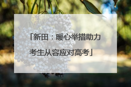 新田：暖心举措助力考生从容应对高考