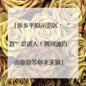 新乡平原示范区：“葚”是诱人！黄河滩百亩桑葚等你来采摘