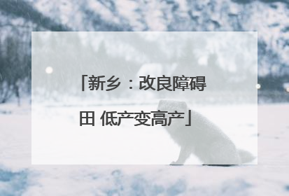 新乡：改良障碍田 低产变高产