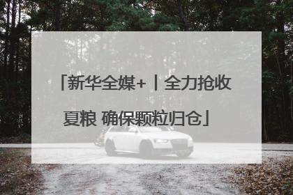 新华全媒+丨全力抢收夏粮 确保颗粒归仓