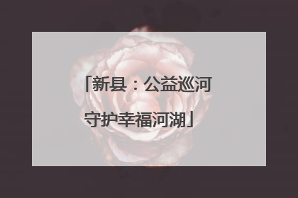 新县：公益巡河守护幸福河湖