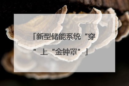 新型储能系统“穿”上“金钟罩”