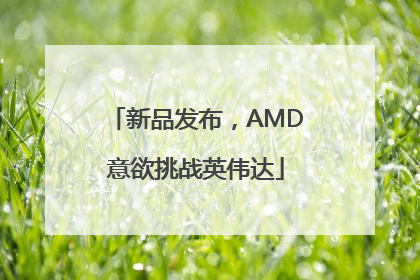 新品发布，AMD意欲挑战英伟达