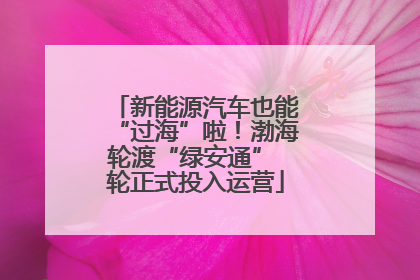 新能源汽车也能“过海”啦！渤海轮渡“绿安通” 轮正式投入运营