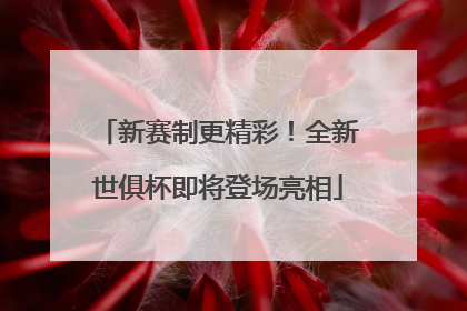 新赛制更精彩！全新世俱杯即将登场亮相