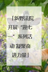 新野法院开展“迎七一”系列活动 凝聚奋进力量