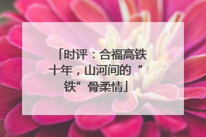 时评：合福高铁十年，山河间的“铁”骨柔情
