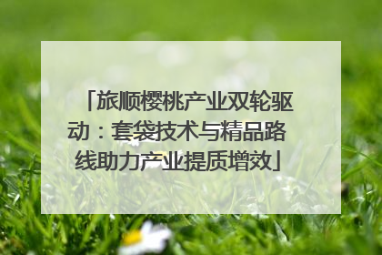 旅顺樱桃产业双轮驱动：套袋技术与精品路线助力产业提质增效