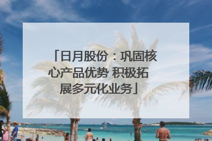 日月股份：巩固核心产品优势 积极拓展多元化业务