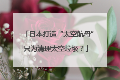 日本打造“太空航母”只为清理太空垃圾？
