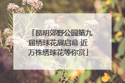 昆明郊野公园第九届绣球花展启幕 近万株绣球花等你赏