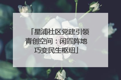 星浦社区党建引领青创空间：闲置阵地巧变民生枢纽