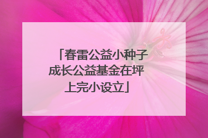 春雷公益小种子成长公益基金在坪上完小设立