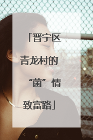晋宁区青龙村的“菌”情致富路