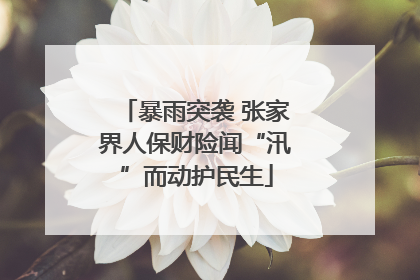 暴雨突袭 张家界人保财险闻“汛”而动护民生