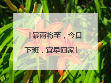暴雨将至，今日下班，宜早回家