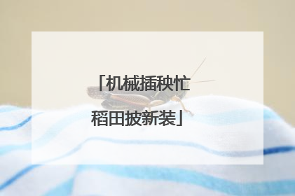 机械插秧忙 稻田披新装