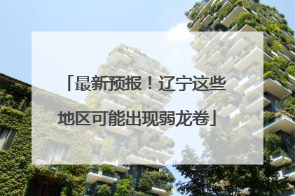 最新预报！辽宁这些地区可能出现弱龙卷