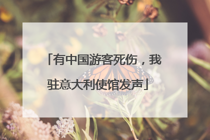有中国游客死伤，我驻意大利使馆发声