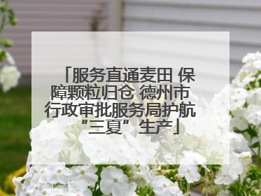 服务直通麦田 保障颗粒归仓 德州市行政审批服务局护航“三夏”生产