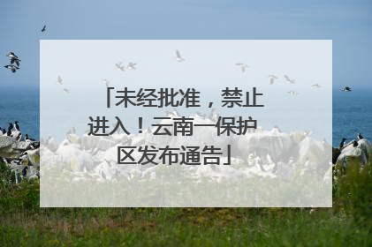 未经批准，禁止进入！云南一保护区发布通告