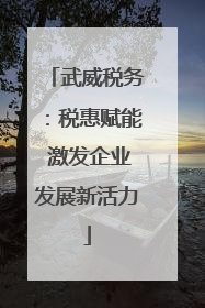 武威税务：税惠赋能 激发企业发展新活力
