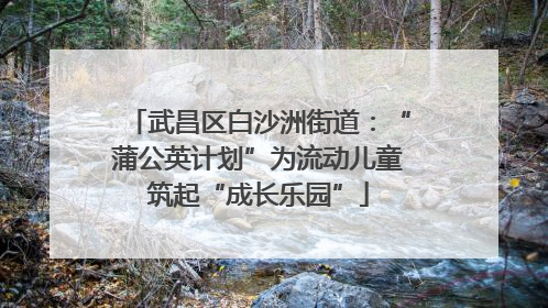 武昌区白沙洲街道：“蒲公英计划”为流动儿童筑起“成长乐园”