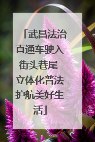 武昌法治直通车驶入街头巷尾 立体化普法护航美好生活