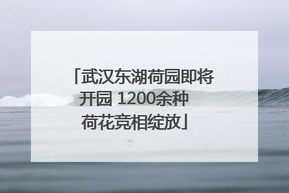 武汉东湖荷园即将开园 1200余种荷花竞相绽放