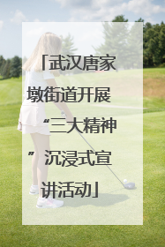 武汉唐家墩街道开展“三大精神”沉浸式宣讲活动