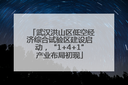 武汉洪山区低空经济综合试验区建设启动，“1+4+1”产业布局初现
