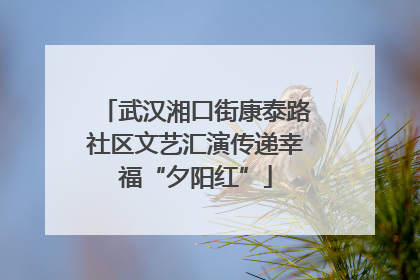 武汉湘口街康泰路社区文艺汇演传递幸福“夕阳红”