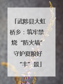 武陟县大虹桥乡：筑牢禁烧“防火墙” 守护夏粮好“丰”景