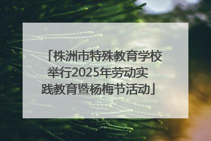 株洲市特殊教育学校举行2025年劳动实践教育暨杨梅节活动